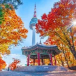 Why Study in South Korea?