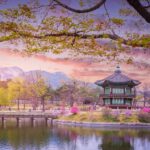 Study in South Korea from Bangladesh- SIG Overseas Chittagong
